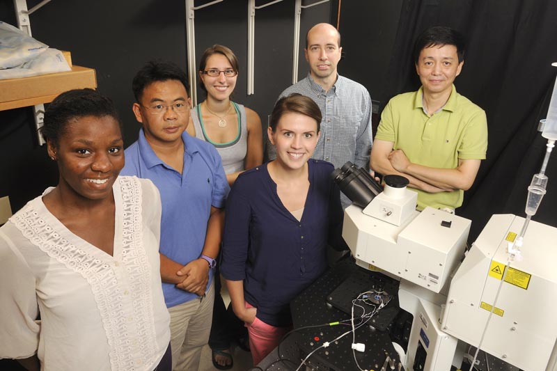 Zheng lab team 2013